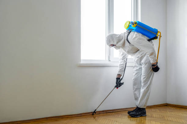 Wasp Removal Services in Stapleton, AL